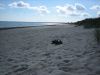 Schuhe Im Sand